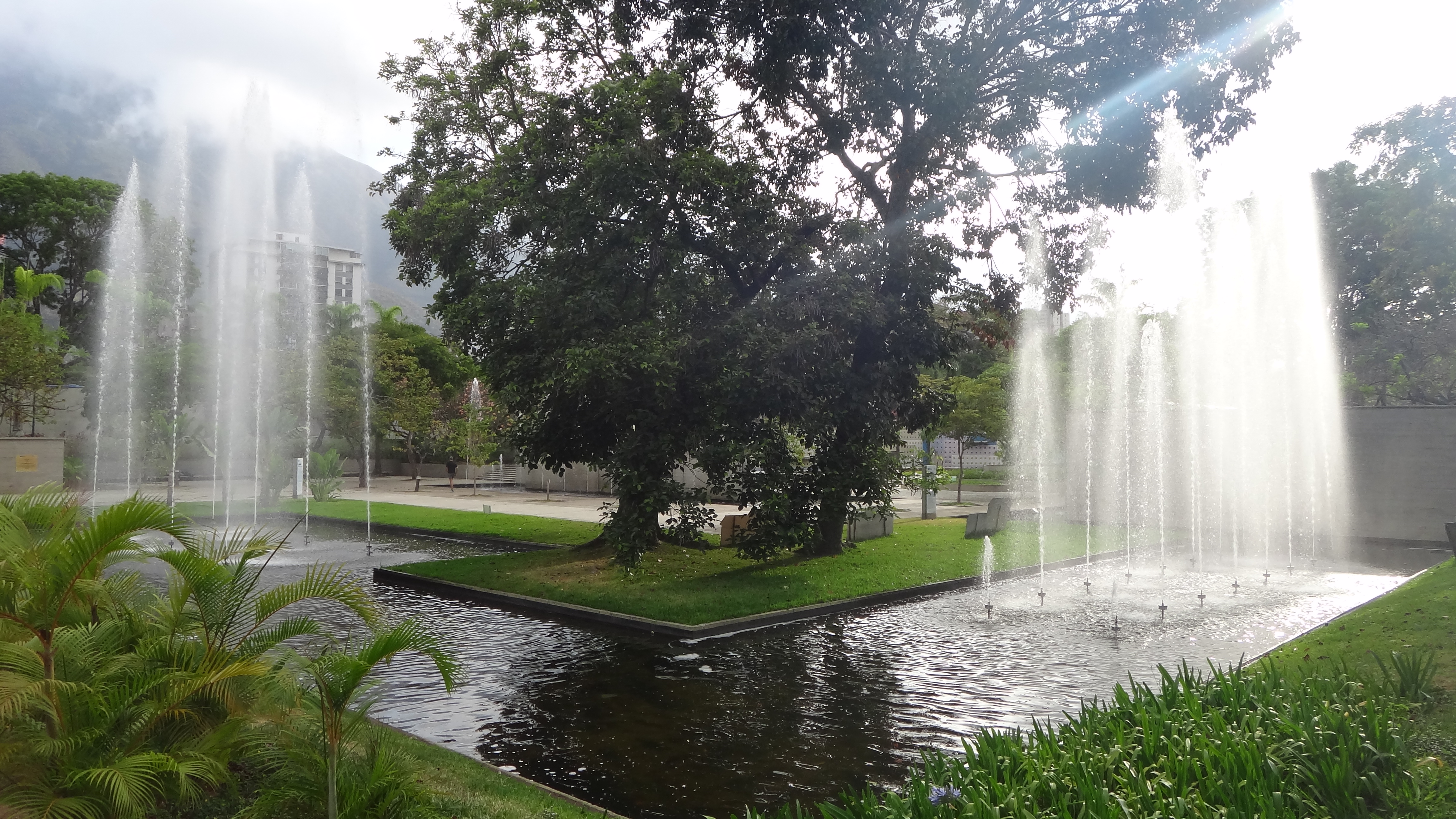 East Park 14